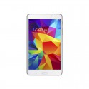 Suspendisse Palm
